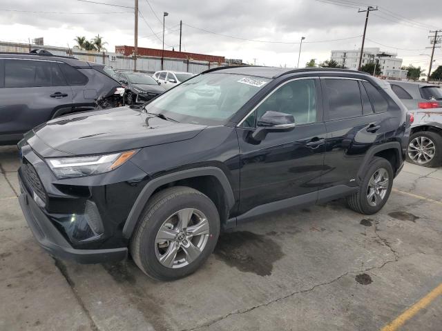 2024 TOYOTA RAV4 XLE, 