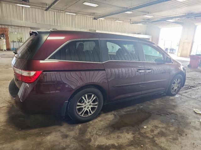 5FNRL5H69BB045009 - 2011 HONDA ODYSSEY EXL მუქწითელი ფოტო 3