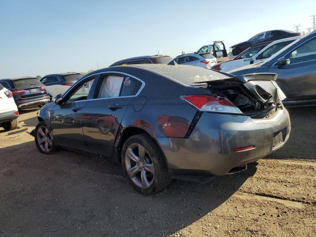 19UUA9F55CA009444 - 2012 ACURA TL GRAY photo 2