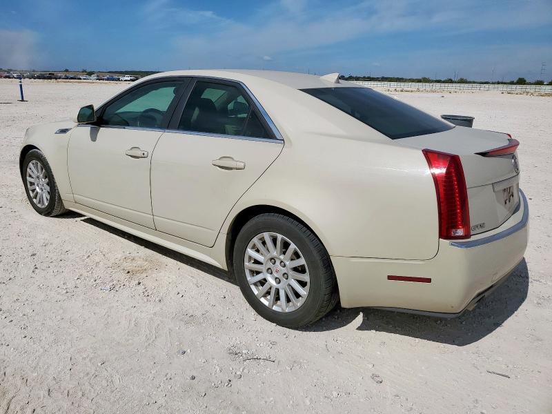 1G6DE5EG4A0125626 - 2010 CADILLAC CTS LUXURY COLLECTION Bej foto 2