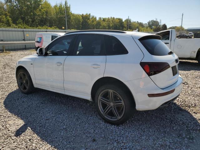 WA1WKAFP2CA077251 - 2012 AUDI Q5 PRESTIGE WHITE photo 2