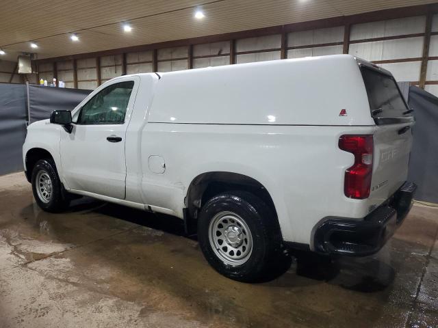 3GCNAAEK7PG343218 - 2023 CHEVROLET SILVERADO C1500 Ağ foto 2