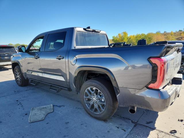 5TFNA5DB8PX116026 - 2023 TOYOTA TUNDRA CREWMAX PLATINUM Grau Foto 2