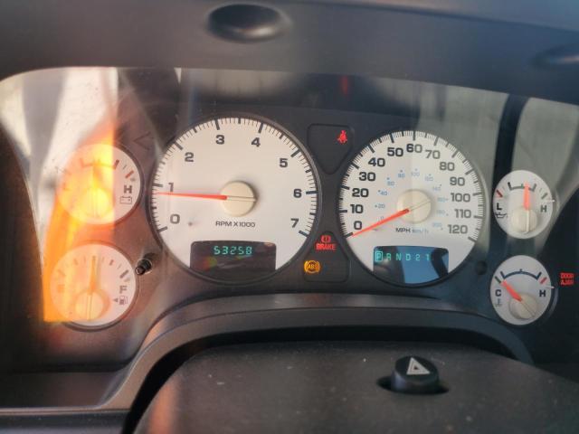 1D7HA16D44J258916 - 2004 DODGE RAM 1500 ST 黄色 照片 9