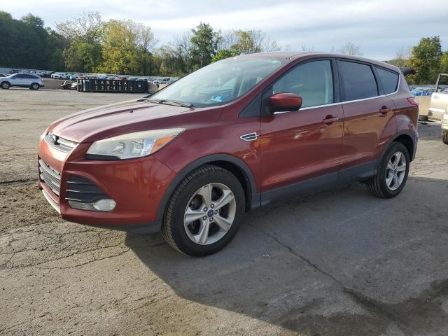 2014 FORD ESCAPE SE, 