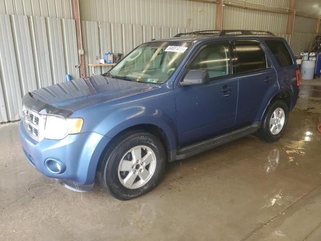 2009 FORD ESCAPE XLT, 