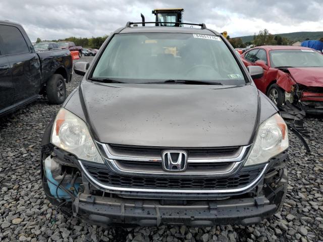 5J6RE4H75AL020143 - 2010 HONDA CR-V EXL TAN photo 5