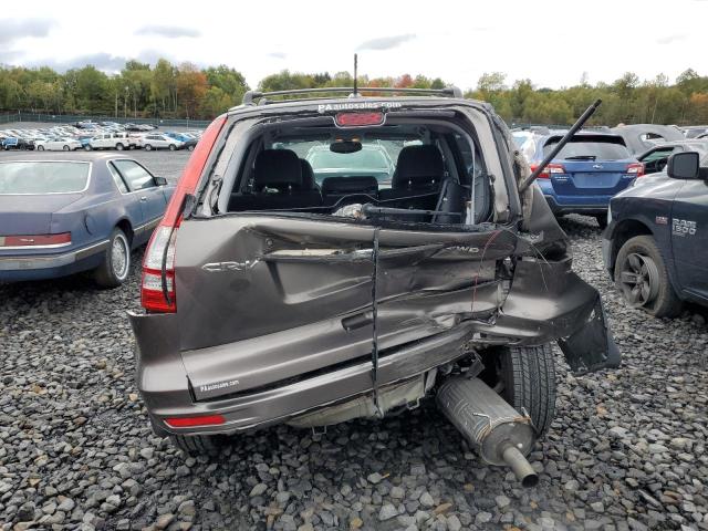 5J6RE4H75AL020143 - 2010 HONDA CR-V EXL TAN photo 6