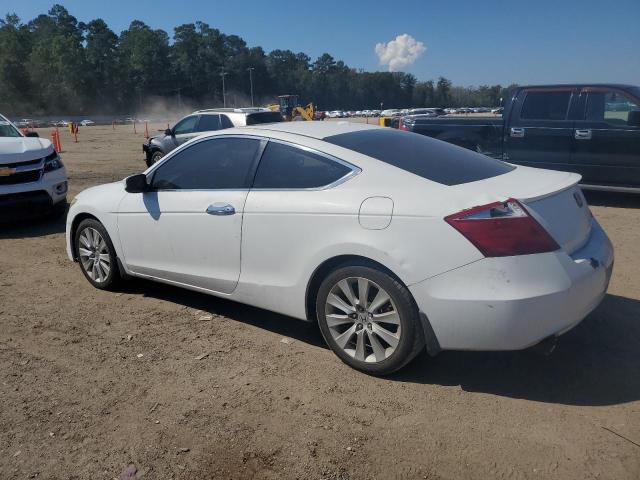 1HGCS21838A016384 - 2008 HONDA ACCORD EXL თეთრი ფოტო 2