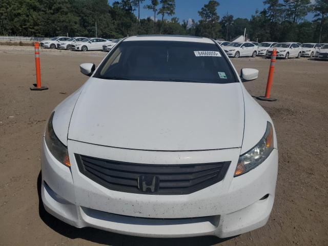 1HGCS21838A016384 - 2008 HONDA ACCORD EXL თეთრი ფოტო 5