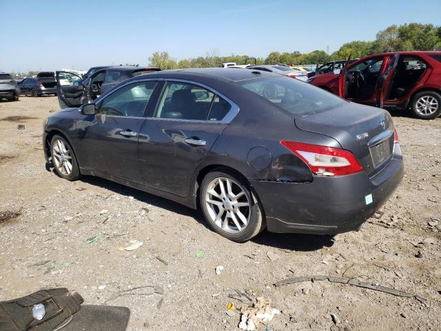 1N4AA51EX9C831192 - 2009 NISSAN MAXIMA S 灰色 照片 2