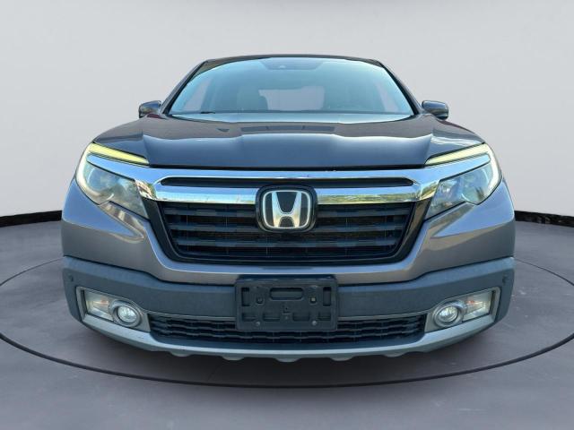 5FPYK3F71KB009532 - 2019 HONDA RIDGELINE RTL ნაცრისფერი ფოტო 14