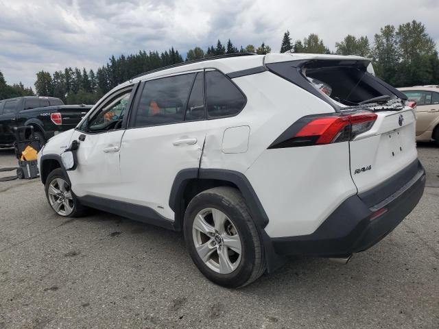 2T3RWRFV4KW037435 - 2019 TOYOTA RAV4 XLE أبيض صورة 2