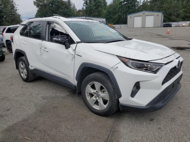2T3RWRFV4KW037435 - 2019 TOYOTA RAV4 XLE أبيض صورة 4