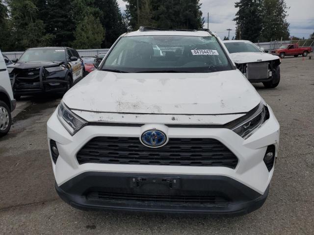 2T3RWRFV4KW037435 - 2019 TOYOTA RAV4 XLE أبيض صورة 5