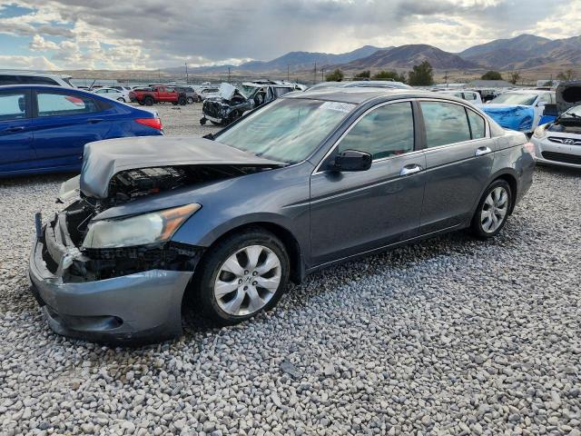2008 HONDA ACCORD EXL, 