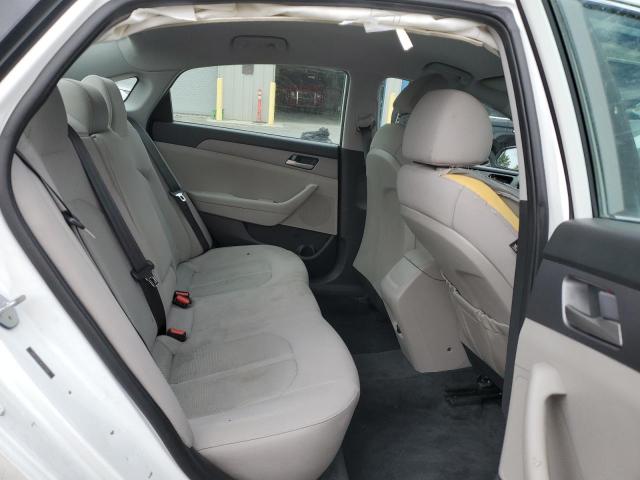 5NPE24AF6KH791005 - 2019 HYUNDAI SONATA SE Ağ foto 10