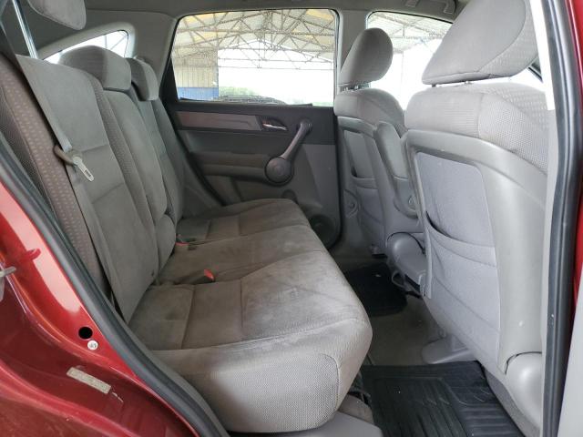5J6RE48598L024995 - 2008 HONDA CR-V EX RED photo 11