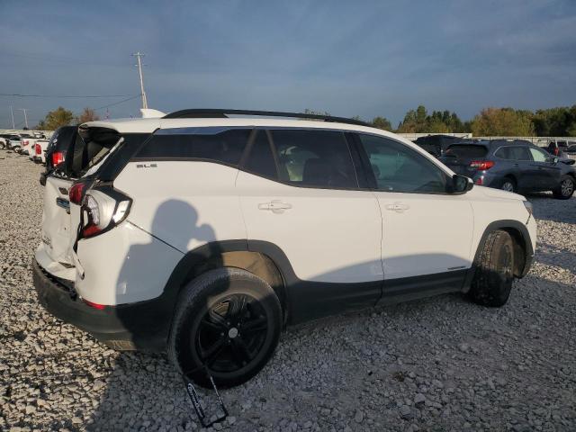 3GKALMEV7KL220995 - 2019 GMC TERRAIN SLE Blanc photo 3