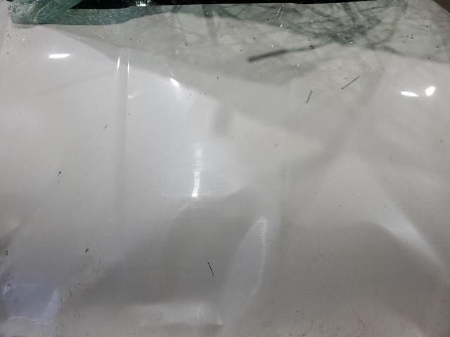 JF2SJADC6GH438860 - 2016 SUBARU FORESTER 2.5I PREMIUM 白色 照片 12