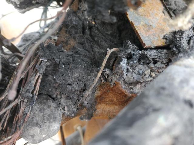 1HD1FC4187Y635789 - 2007 HARLEY-DAVIDSON FLHTCUI 烧焦的 照片 8