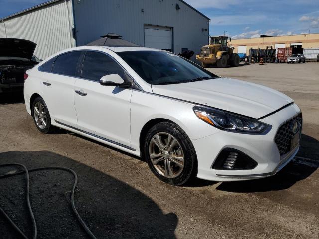 5NPE34AF5KH756341 - 2019 HYUNDAI SONATA LIMITED 白色 照片 4