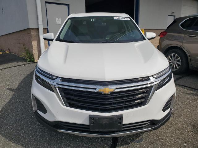 3GNAXUEG1PS211909 - 2023 CHEVROLET EQUINOX LT 白色 照片 5