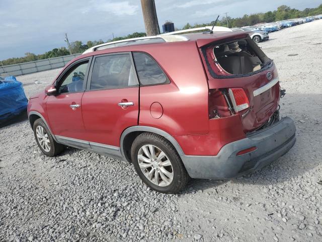 5XYKU4A20BG063522 - 2011 KIA SORENTO EX 红色 照片 2