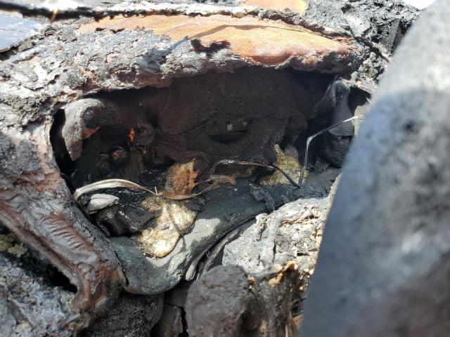 1FMCU0GX2DUC52122 - 2013 FORD ESCAPE SE Gümüş foto 9