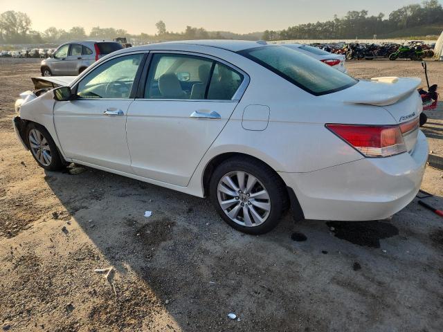 1HGCP3F85BA007337 - 2011 HONDA ACCORD EXL თეთრი ფოტო 2