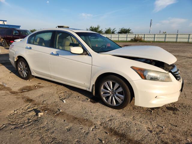 1HGCP3F85BA007337 - 2011 HONDA ACCORD EXL თეთრი ფოტო 4