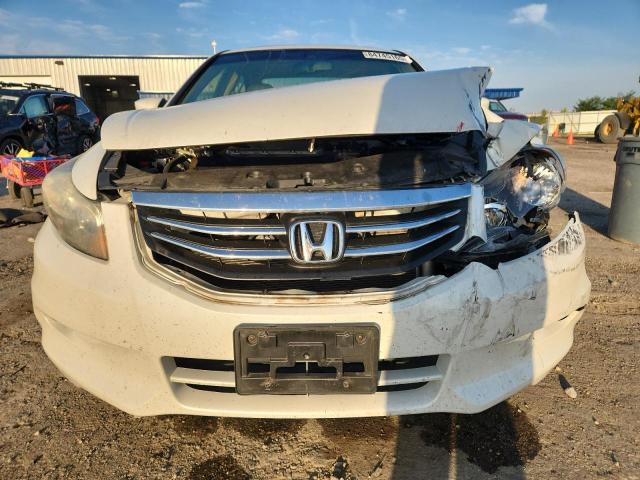 1HGCP3F85BA007337 - 2011 HONDA ACCORD EXL თეთრი ფოტო 5