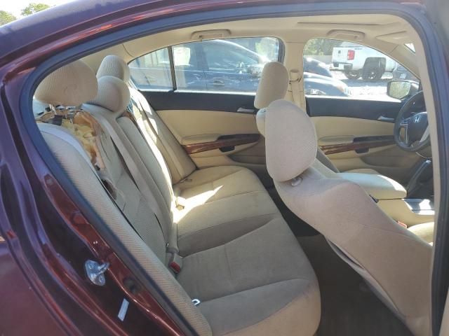 1HGCP2F76BA020731 - 2011 HONDA ACCORD EX Բորդո լուսանկար 10