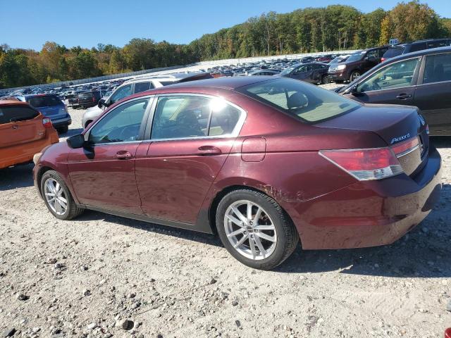 1HGCP2F76BA020731 - 2011 HONDA ACCORD EX Բորդո լուսանկար 2