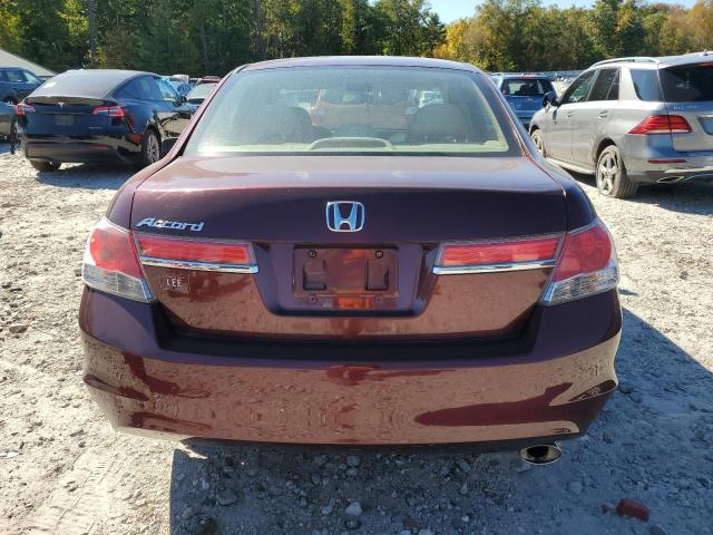 1HGCP2F76BA020731 - 2011 HONDA ACCORD EX Բորդո լուսանկար 6