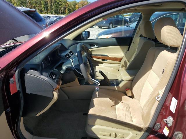 1HGCP2F76BA020731 - 2011 HONDA ACCORD EX Բորդո լուսանկար 7
