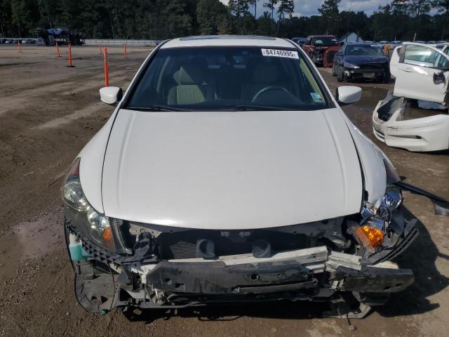 1HGCP3F89BA027509 - 2011 HONDA ACCORD EXL თეთრი ფოტო 5