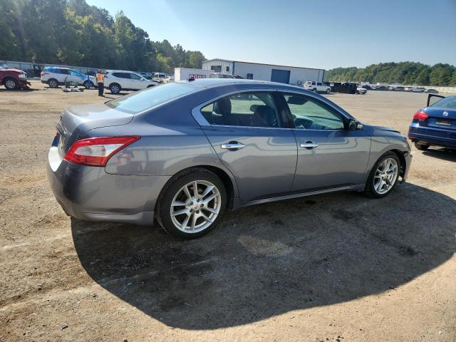 1N4AA5AP1AC824184 - 2010 NISSAN MAXIMA S 灰色 照片 3