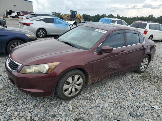 2010 HONDA ACCORD EXL, 