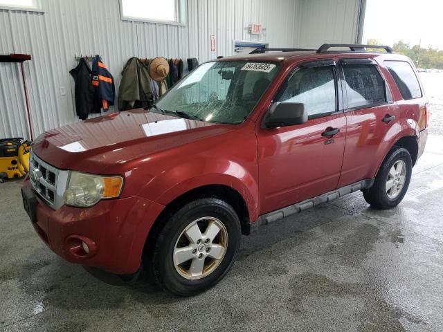 2010 FORD ESCAPE XLT, 