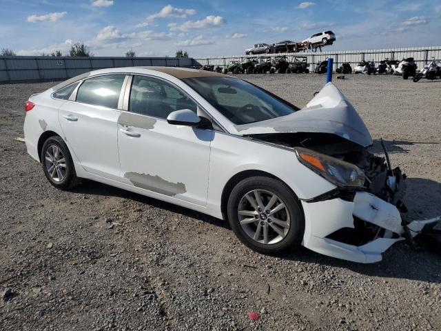 5NPE24AF5GH398071 - 2016 HYUNDAI SONATA SE WHITE photo 4