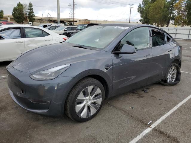 2023 TESLA MODEL Y, 