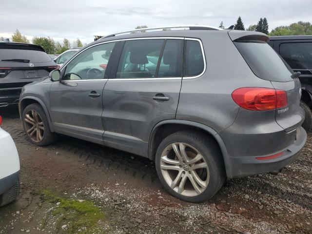 WVGBV3AX6DW613116 - 2013 VOLKSWAGEN TIGUAN S 灰色 照片 2