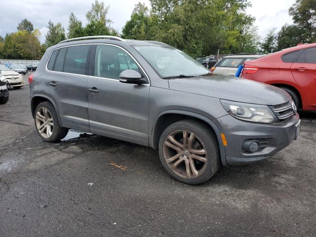 WVGBV3AX6DW613116 - 2013 VOLKSWAGEN TIGUAN S 灰色 照片 4