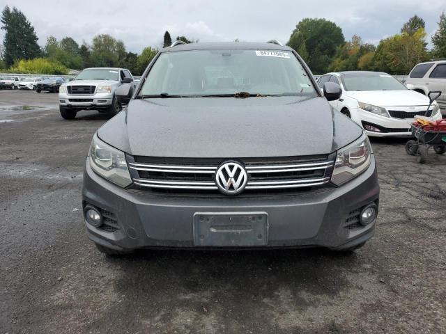 WVGBV3AX6DW613116 - 2013 VOLKSWAGEN TIGUAN S 灰色 照片 5