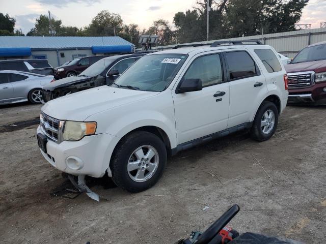 2009 FORD ESCAPE XLT, 