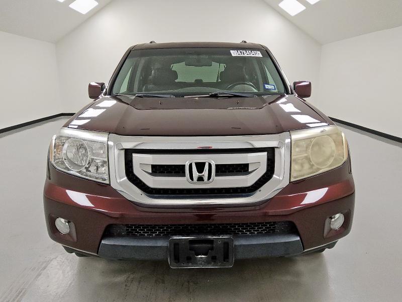 5FNYF38589B017663 - 2009 HONDA PILOT EXL Bordo foto 5