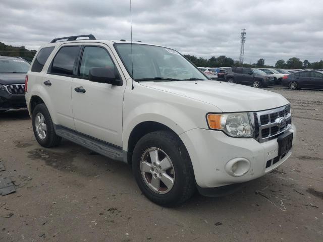 1FMCU9D76CKB84099 - 2012 FORD ESCAPE XLT 白色 照片 4