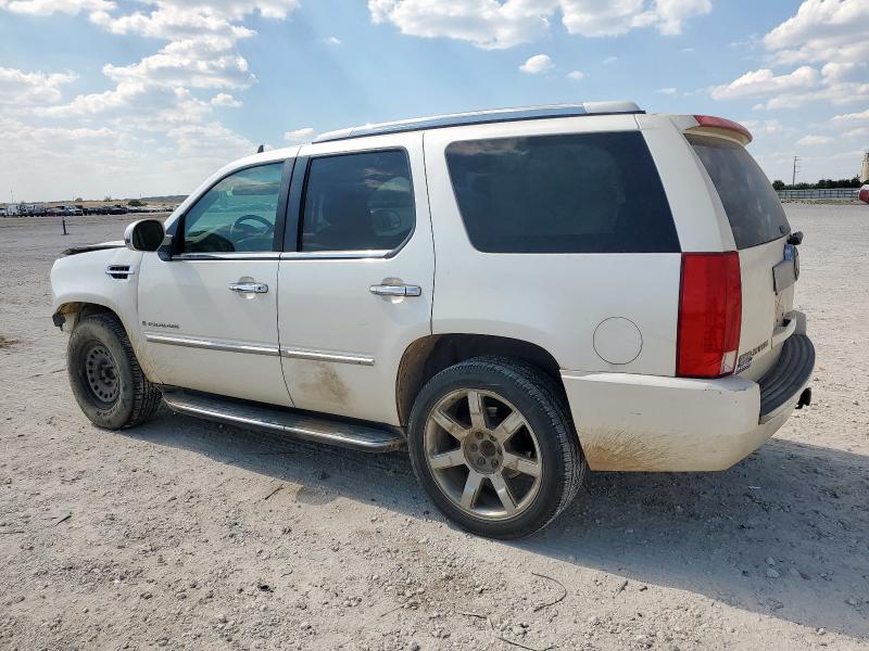 1GYFC23229R278573 - 2009 CADILLAC ESCALADE LUXURY أبيض صورة 2