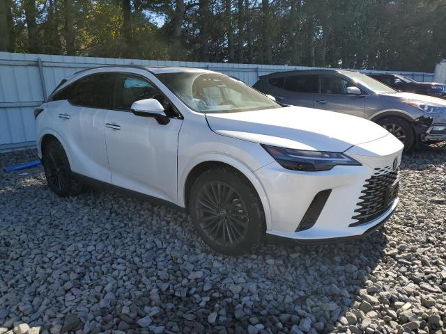 2T2BAMCA0RC087995 - 2024 LEXUS RX 350 BASE Білий фото 4